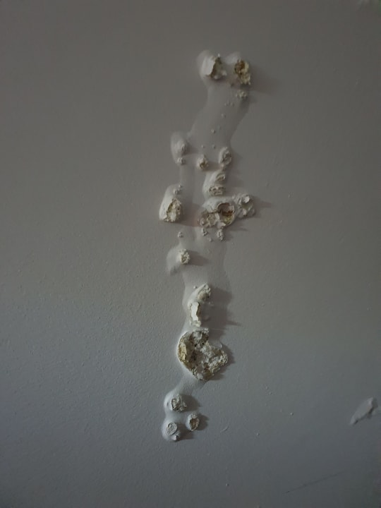 Zimmer Hotel Residencial Amparo