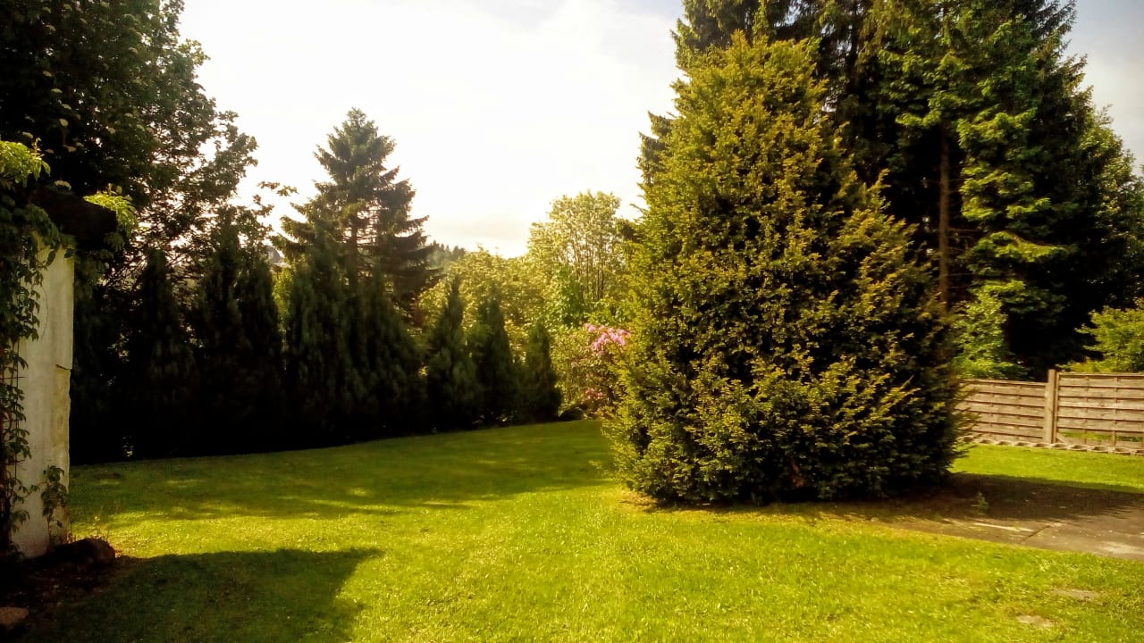 Gartenanlage Apartment Winterberg Life