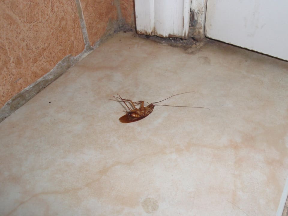 Im Badezimmer HOVIMA Santa Maria