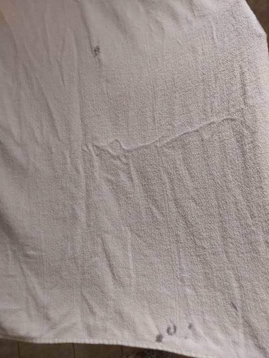 Zimmer Hotel Club Paradiso