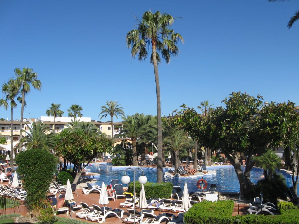 Blick vom Balkon Alcudia Garden Aparthotel