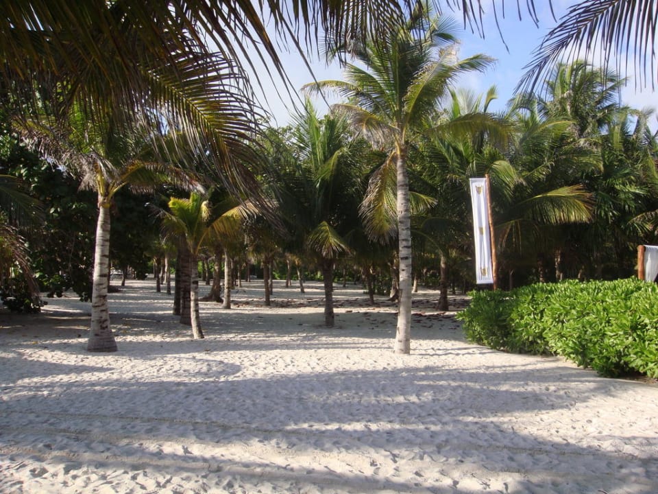 Strand Grand Palladium Select White Sand Resort & Spa