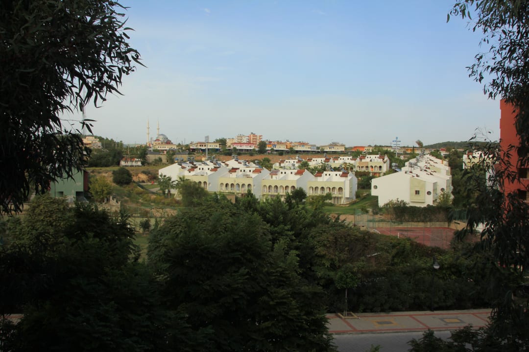 Blick nach draußen  Hotel Gardenia Beach