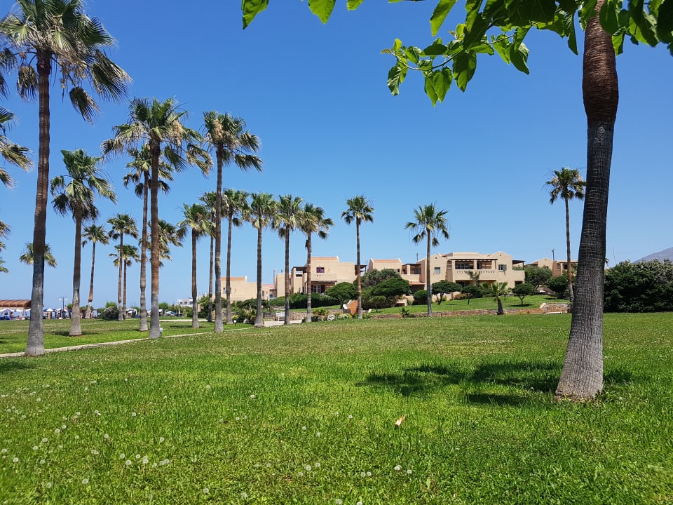 Gartenanlage Calimera Sirens Beach