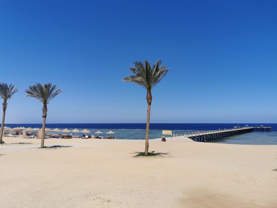 Strand Pickalbatros Sea World Resort - Marsa Alam