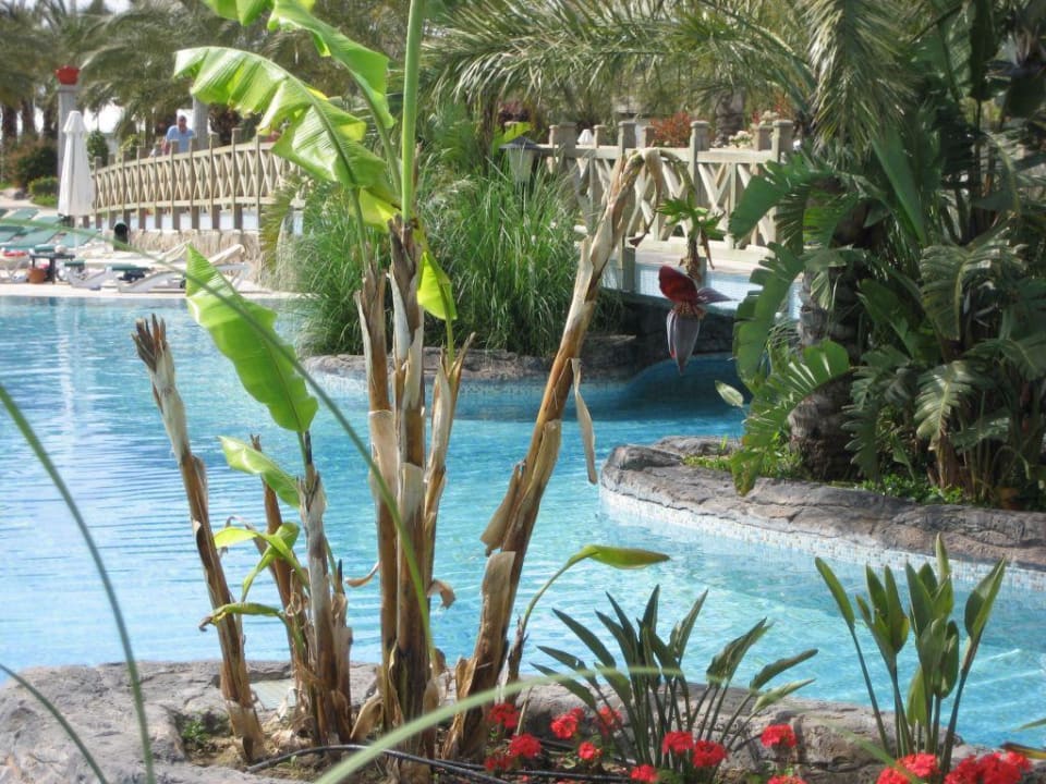 Gartenanlage Royal Wings Hotel