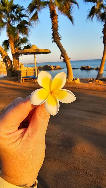 Strand Pickalbatros Citadel Resort