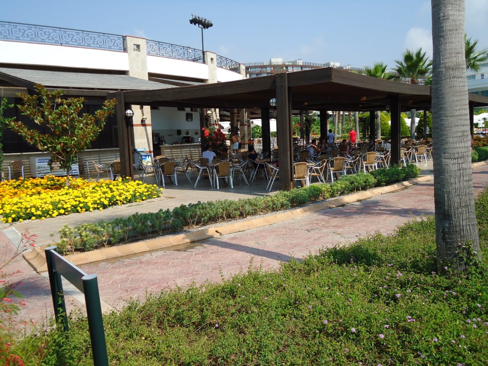 Hier gehts zur Poolbar Hotel Miracle Resort