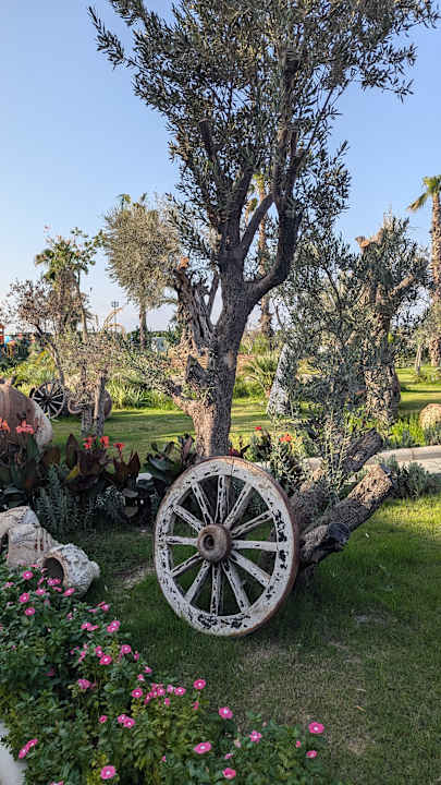 Gartenanlage Dream Fun World