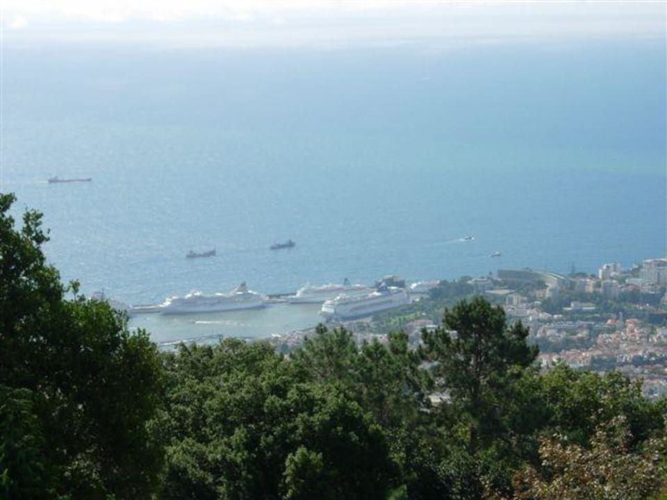 Blick auf Hafen Hotel The Cliff Bay (PortoBay)