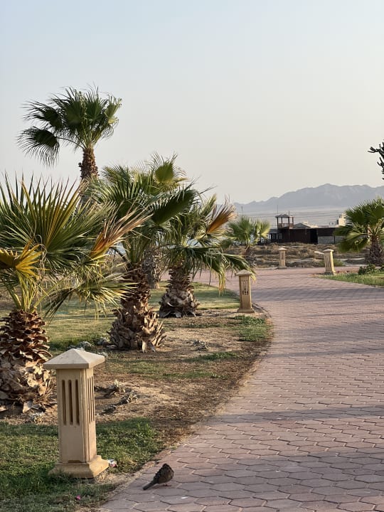 Gartenanlage Lahami Bay Beach Resort