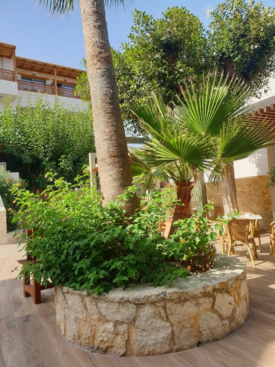 Gartenanlage Cactus Beach