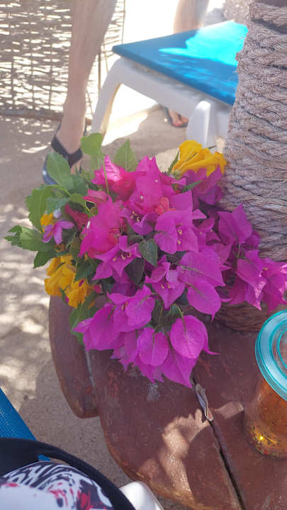 Strand Malikia Resort Abu Dabbab