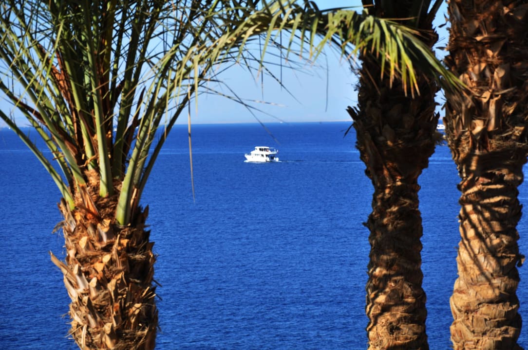 Strandansicht The Grand Hotel Sharm El Sheikh