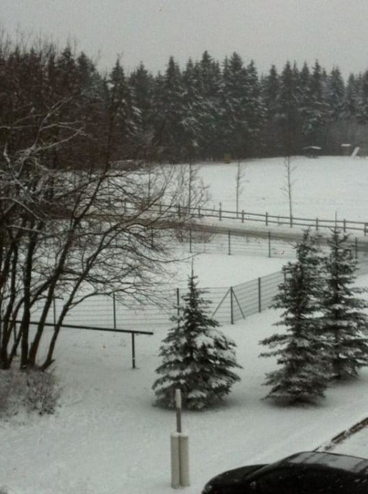 Blick aus dem Fenster Rennsteighotel Herrnberger Hof