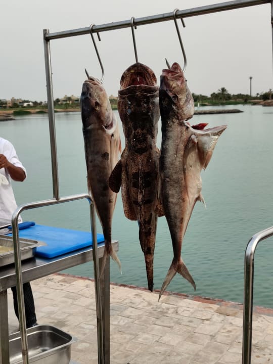 Gastro Steigenberger Golf Resort El Gouna