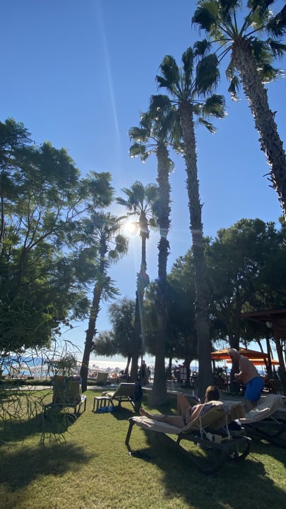 Gartenanlage Arum Barut Collection
