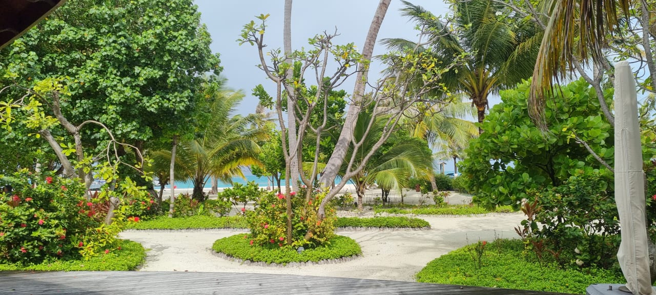 Gartenanlage Meeru Maldives Resort Island