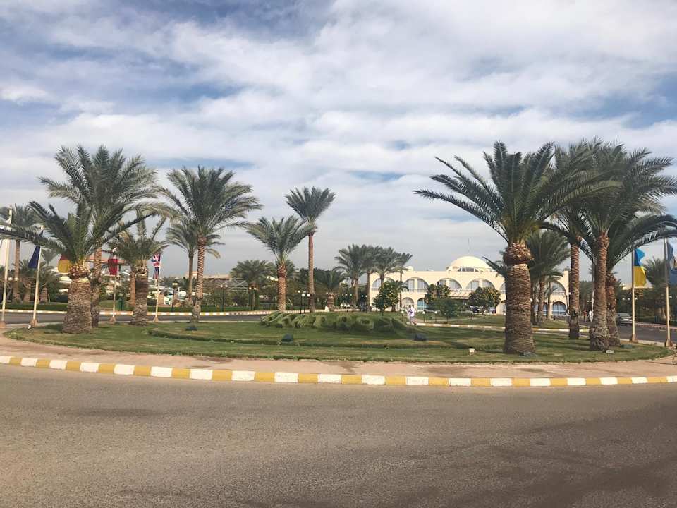 Gartenanlage Desert Rose