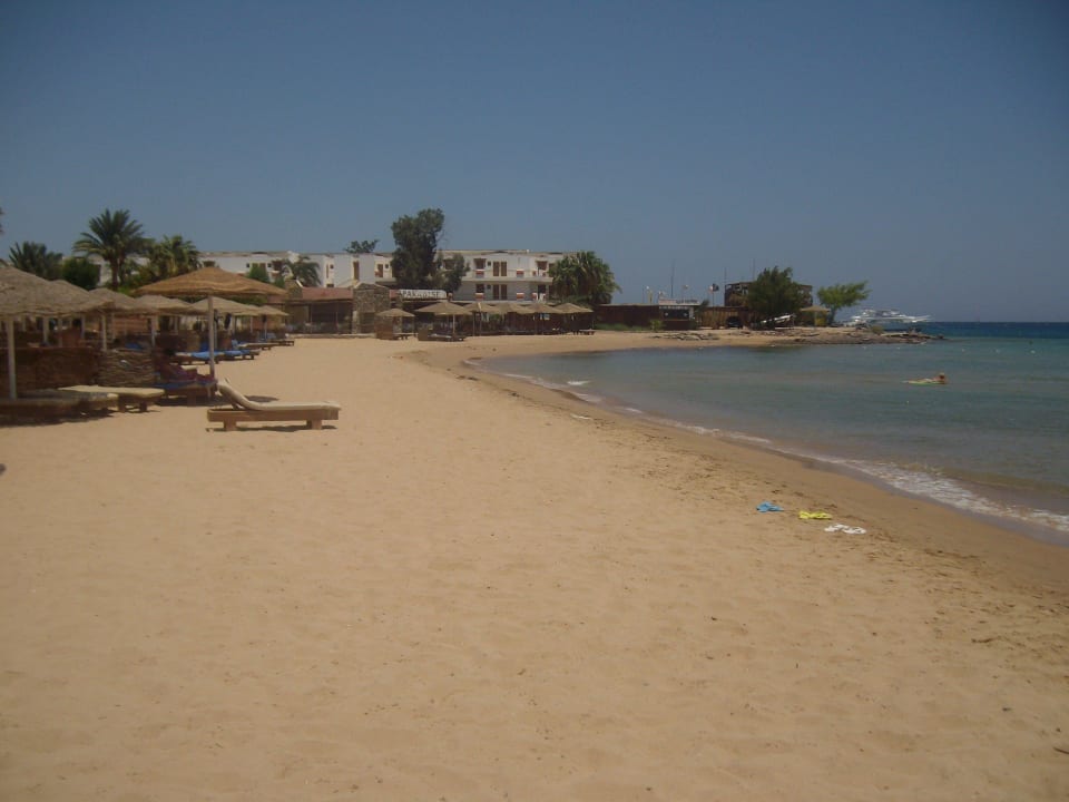 Schöner Strand, August 2013 Eagles Paradise Abu Soma