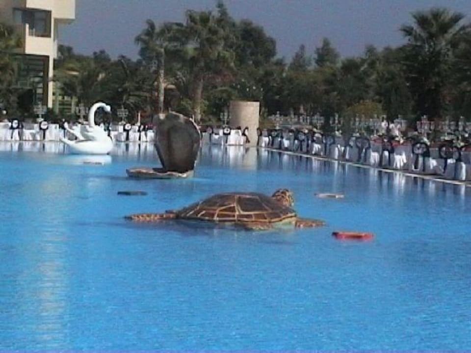 Deko am Aktivpool am Gala Abend VONRESORT Golden Coast