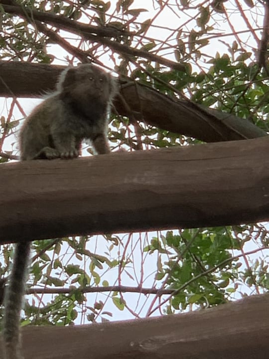 Sonstiges Grand Palladium Imbassai Resort & Spa