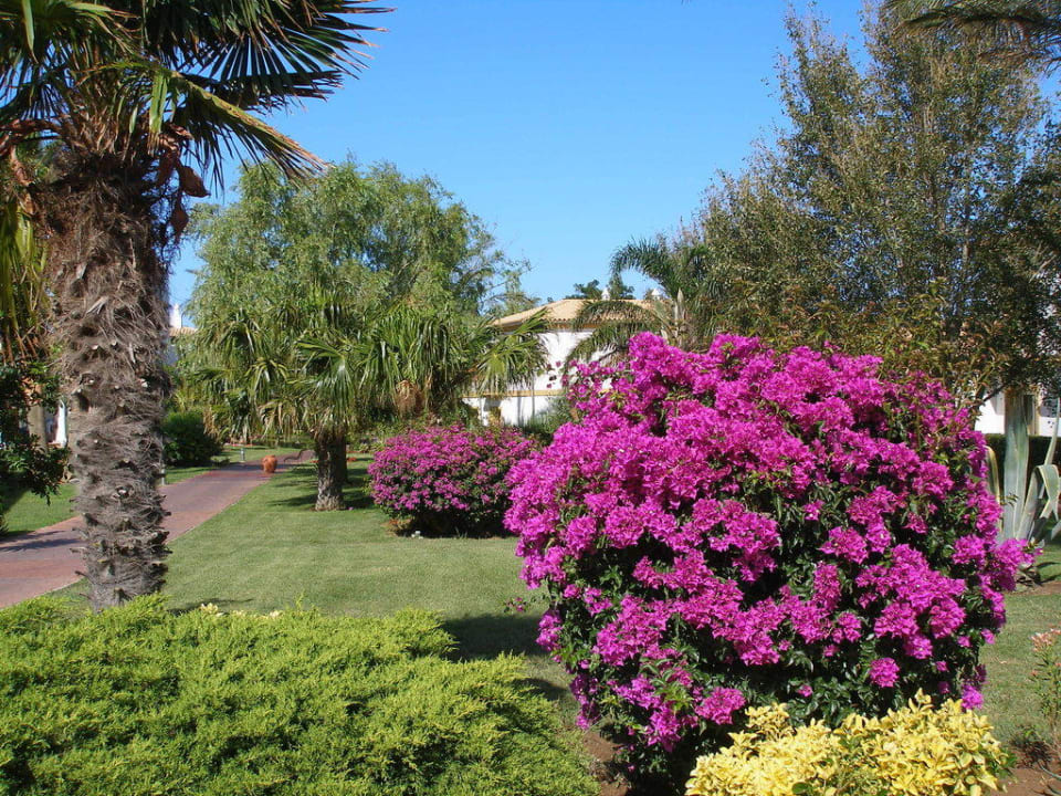 Garten Aldiana Club Andalusien