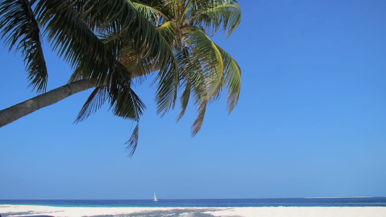 Strand Filitheyo Island Resort