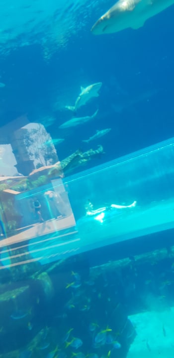 Sport & Freizeit Atlantis, The Palm
