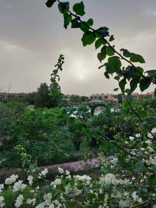 Außenansicht Wadi Lahmy Azur Resort