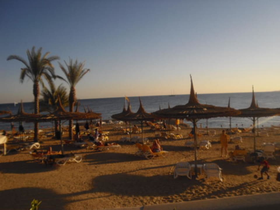 Ohne Worte Reef Oasis Blue Bay Resort