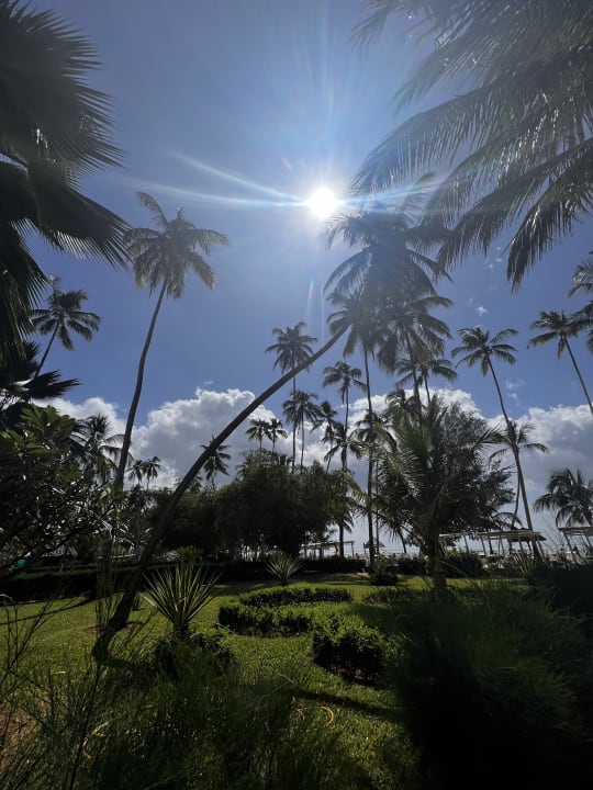 Gartenanlage TUI Blue Bahari Zanzibar
