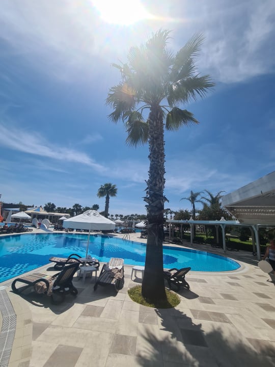 Pool Calimera Serra Palace