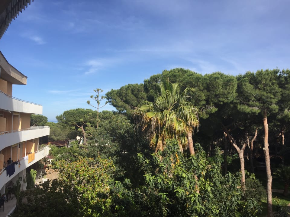 Ausblick Tirreno Resort