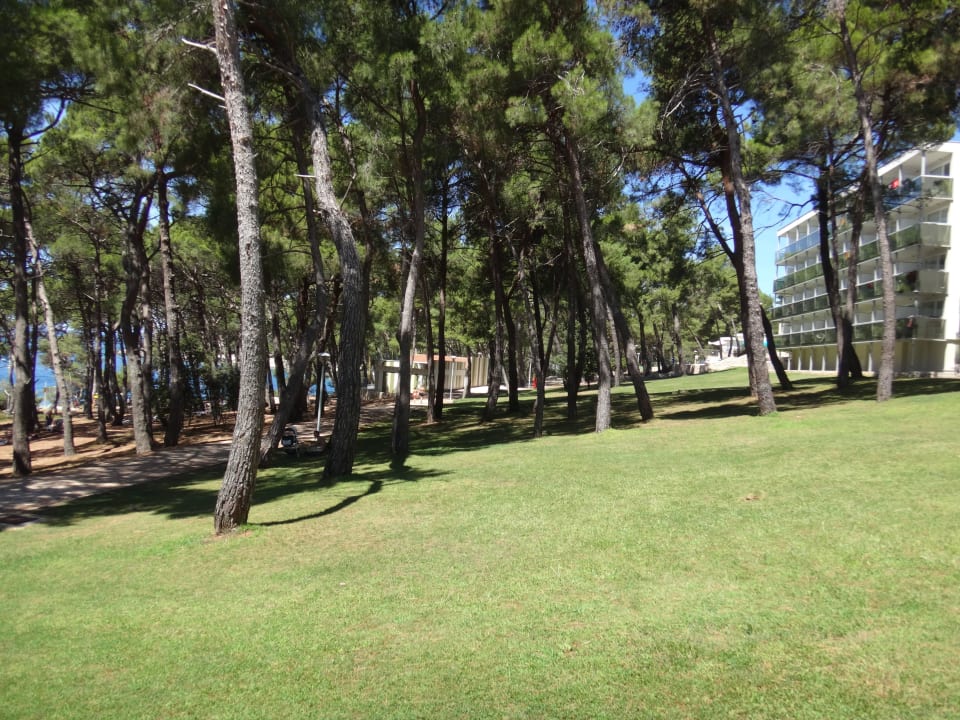 Schön Family Hotel Vespera