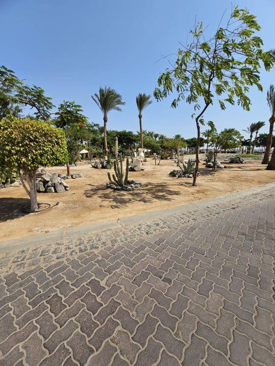 Gartenanlage Steigenberger Aqua Magic