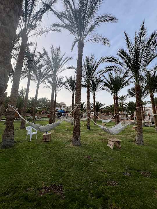 Gartenanlage Fort Arabesque Resort, Spa & Villas
