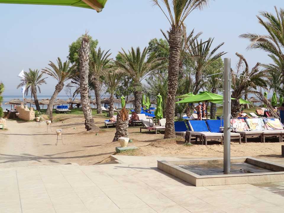 W drodze na plażę Hotel Rosa Beach