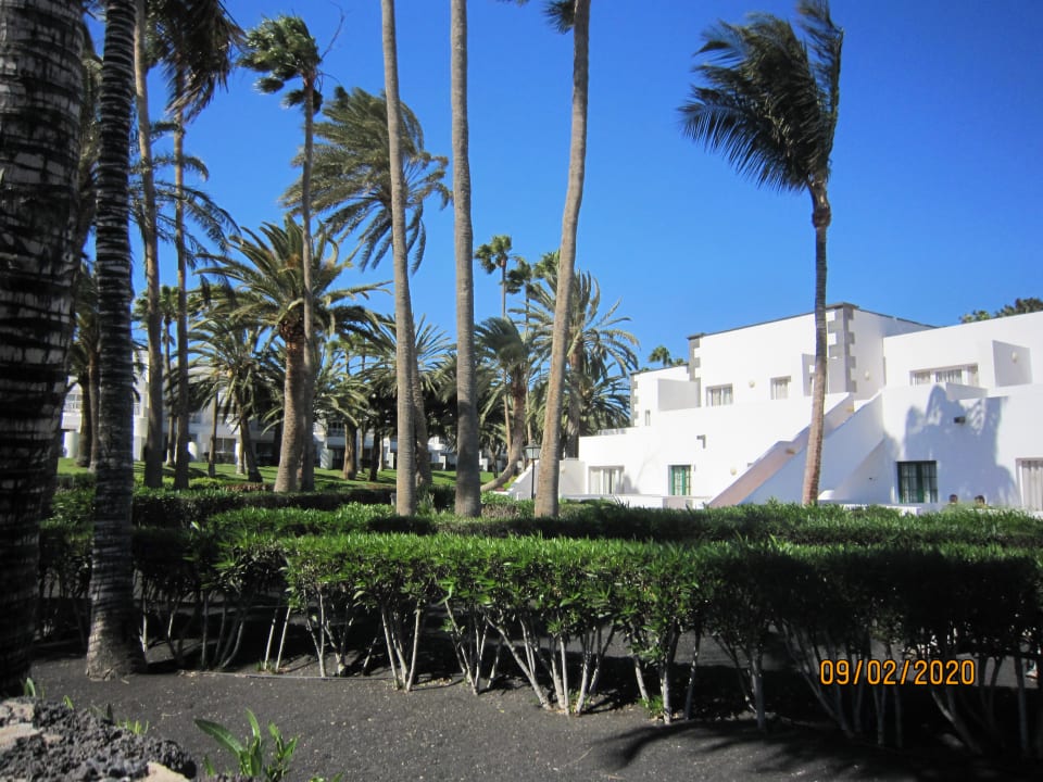 Gartenanlage Hotel Riu Paraiso Lanzarote