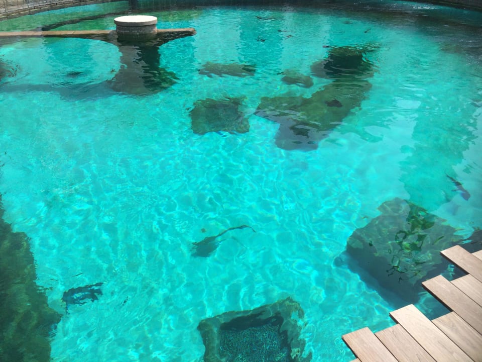 Schnorcheln im Aquapark The Land of Legends Kingdom Hotel