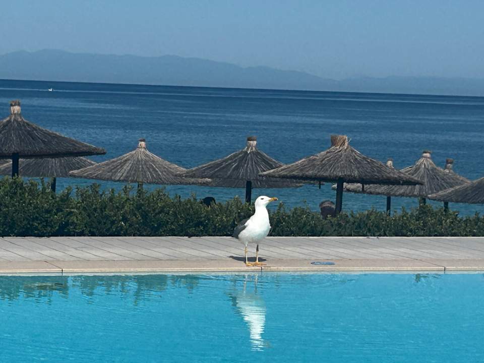 Pool Istion Club & Spa