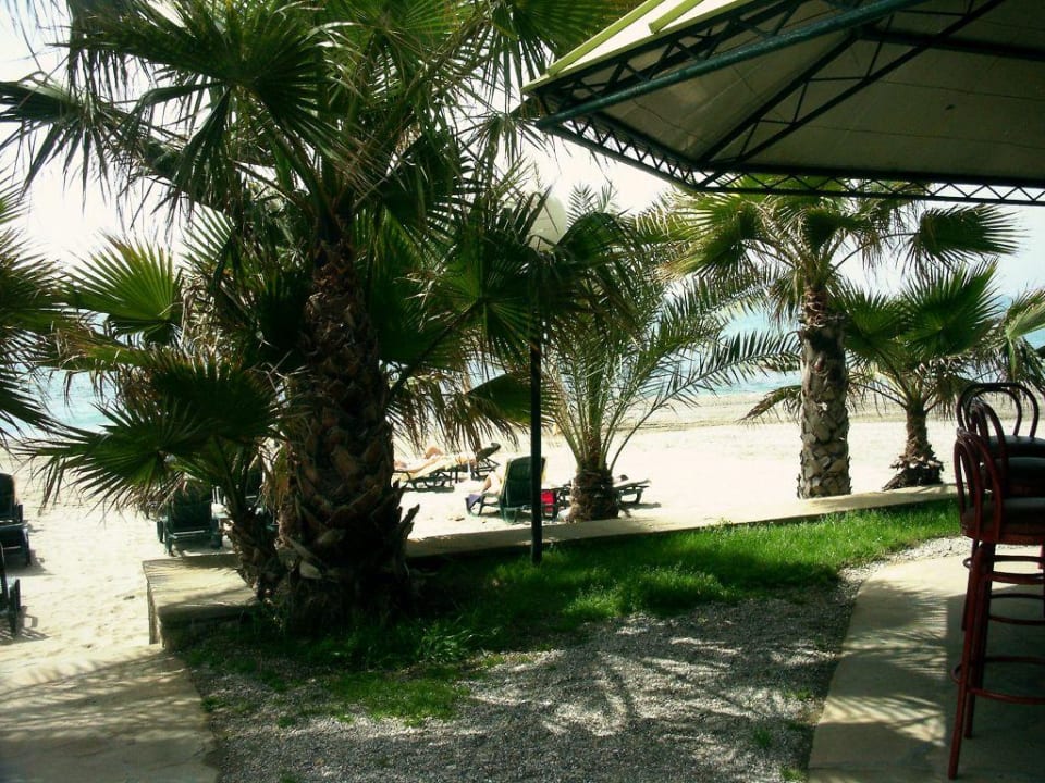 Schöner Strand Hotel Yetkin