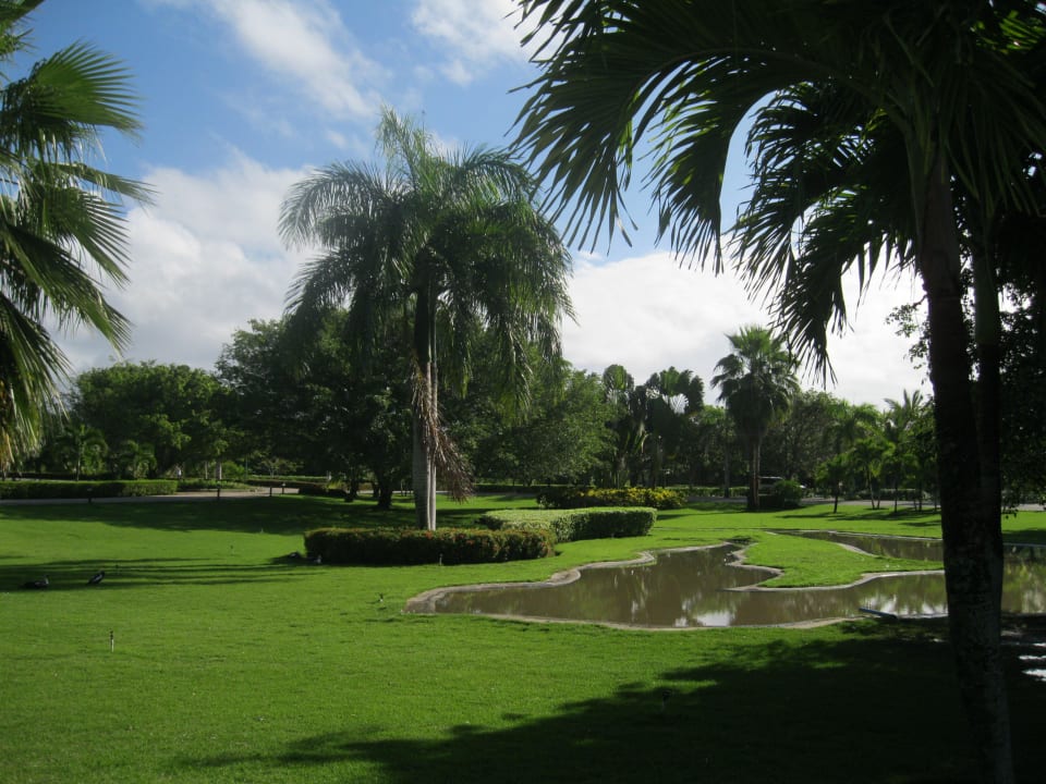 Gartenanlage vorm Hotel Grand Sirenis Punta Cana Resort & Aquagames