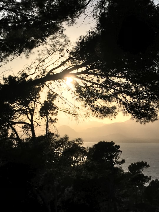 Ausblick Petit Hotel Hostatgeria La Victoria