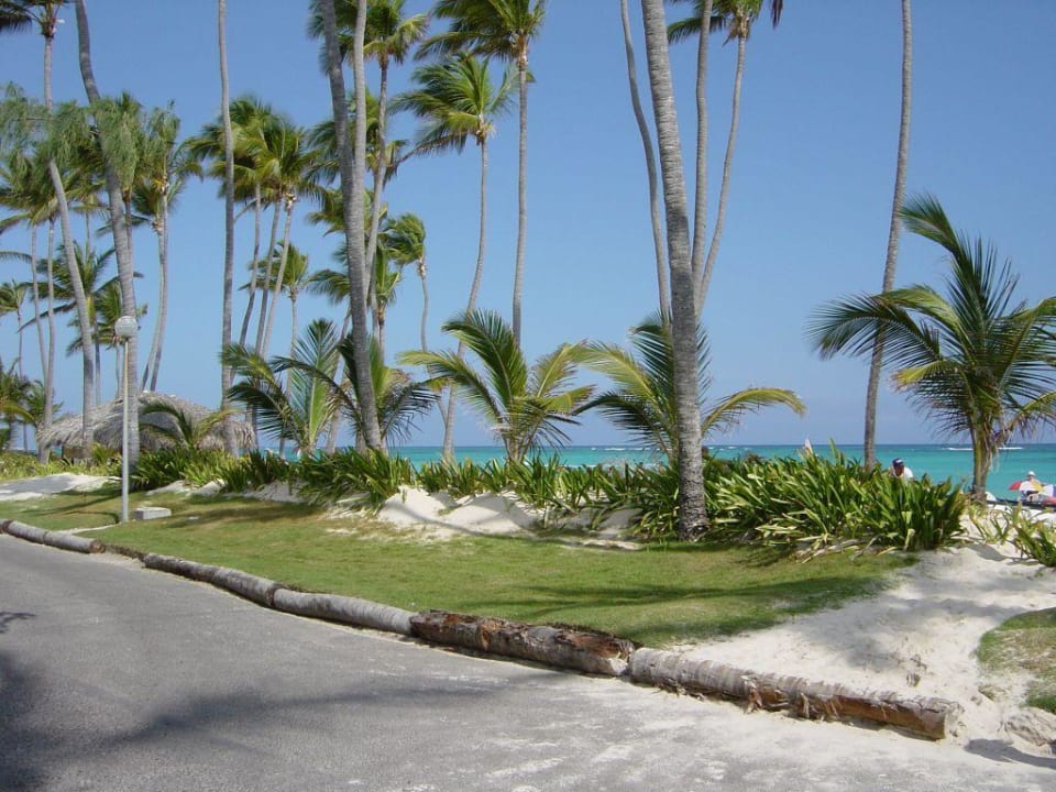 Am Strand Grand Palladium Select Bávaro Resort & Spa