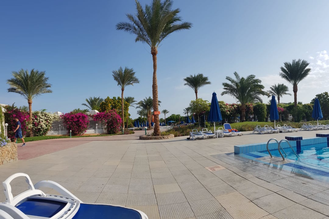 Gartenanlage Desert Rose