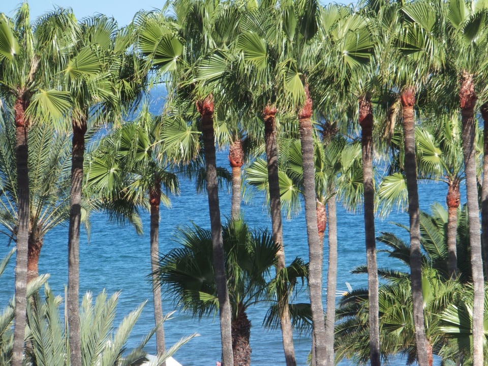 Ausblick Hotel Riu Palace Oasis