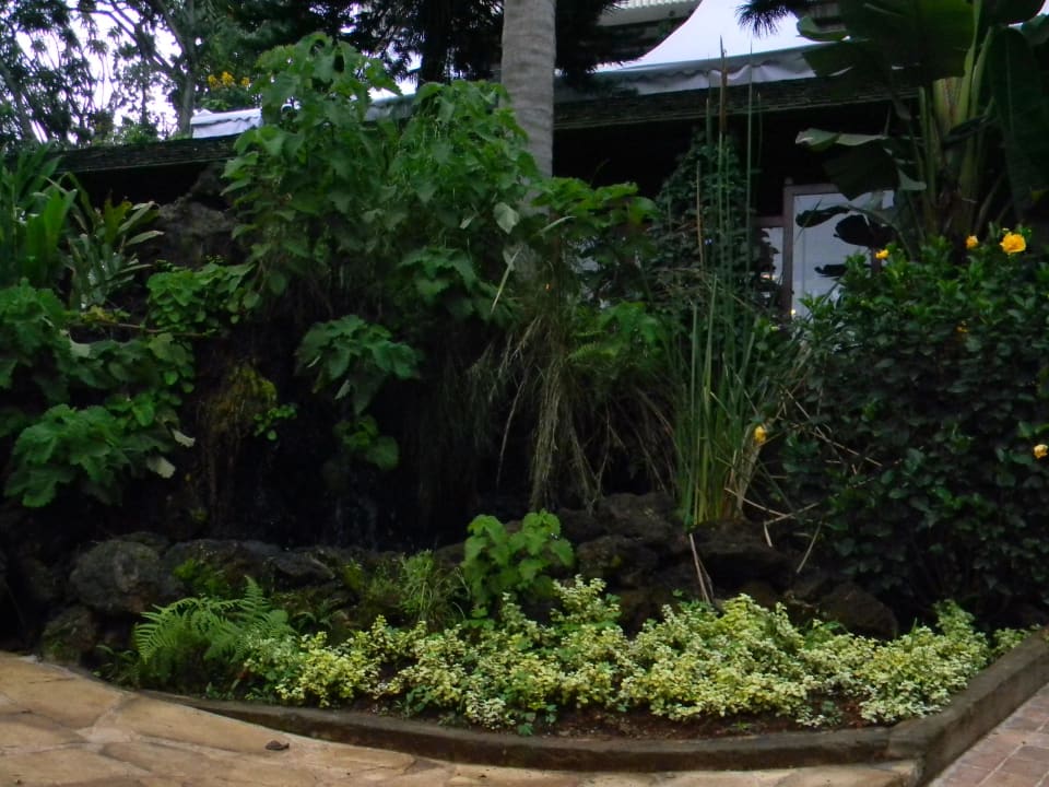 Alles grün  Hotel Sarova Panafric