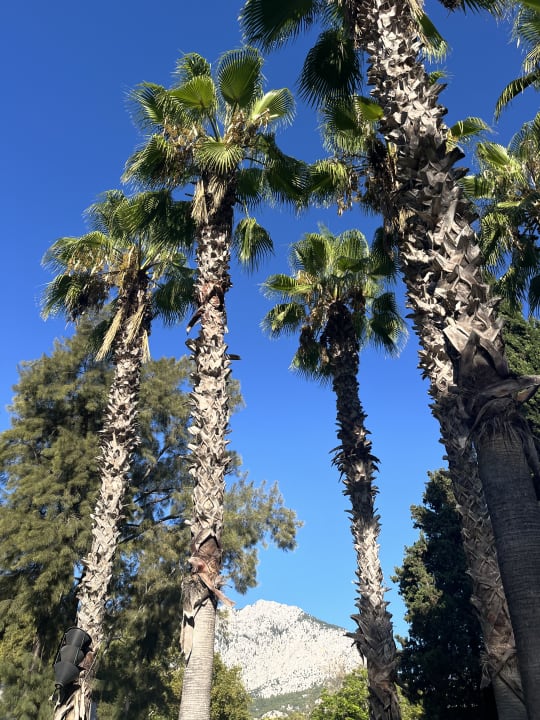 Gartenanlage Sherwood Exclusive Kemer