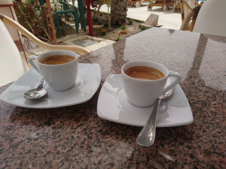 Gastro Shams Prestige Abu Soma-Adults Only